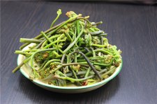 蕨菜有毒不敢用？真的是這樣的嗎【重慶火鍋底料批發(fā)在哪里】