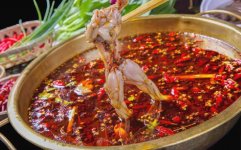 組合式主食材火鍋的春天來了，美蛙魚頭發(fā)展勢頭迅猛【重慶火鍋底料廠地址】