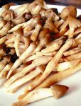 嶺南菌王當季，食客們?yōu)橹偪瘛局貞c火鍋底料批發(fā)商】