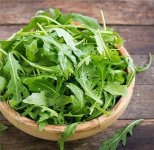 綠葉蔬菜里的戰(zhàn)斗機(jī)【重慶火鍋底料廠】