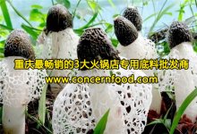 它的功效賽人參，味道還異常鮮美！【重慶火鍋底料廠家】
