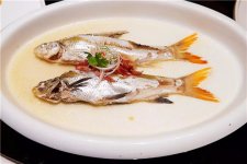 這種鯽魚，有錢都買不到【重慶火鍋底料加工廠】