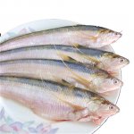 長江刀魚禁捕兩個月后，竟有飯店公然出售相關(guān)菜品