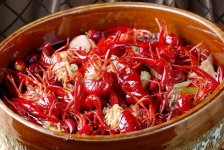 小龍蝦跌破10元/斤！可飯店為啥還是賣那么貴？