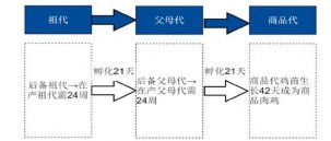 雞肉瘋狂漲價(jià)！餐企要如何應(yīng)對？【重慶火鍋底料批發(fā)】