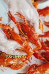 文和友又來搞事情了，這次是露營